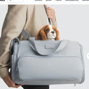 DIGGS Pet Passenger Carrier in Light Blue